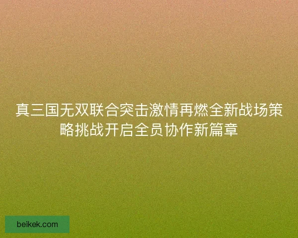 真三国无双联合突击激情再燃全新战场策略挑战开启全员协作新篇章